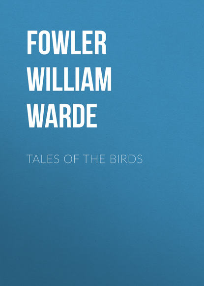 Книга William Fowler, Fowler William Warde Tales of the birds