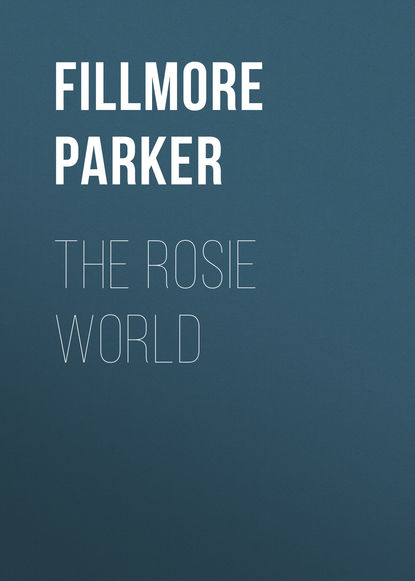 Книга Parker Fillmore, Fillmore Parker The Rosie World