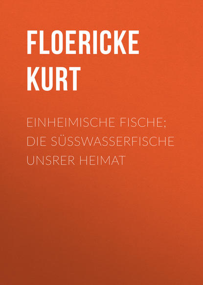 Книга Kurt Floericke, Floericke Kurt Einheimische Fische; Die Süßwasserfische unsrer Heimat