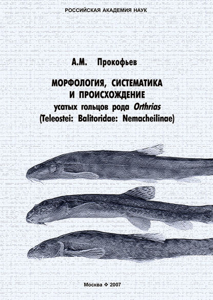 Книга А. М. Прокофьев Морфология, систематика и происхождение усатых гольцов рода Orthrias (Teleostei: Balitoridae: Nemacheilinae)
