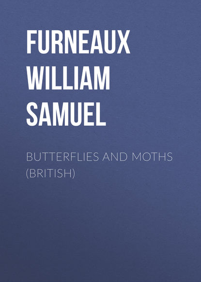 Книга William Furneaux, Furneaux William Samuel Butterflies and Moths (British)