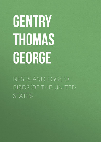 Книга Gentry Thomas George, Thomas Gentry Nests and Eggs of Birds of The United States