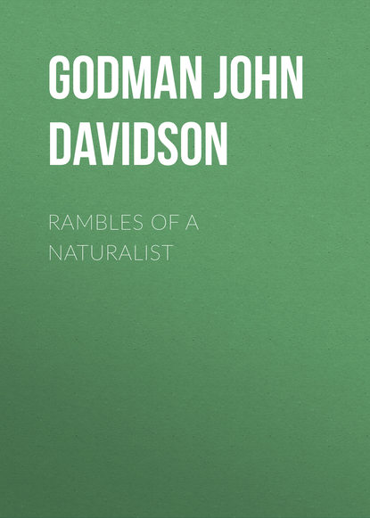 Книга John Godman, Godman John Davidson Rambles of a Naturalist