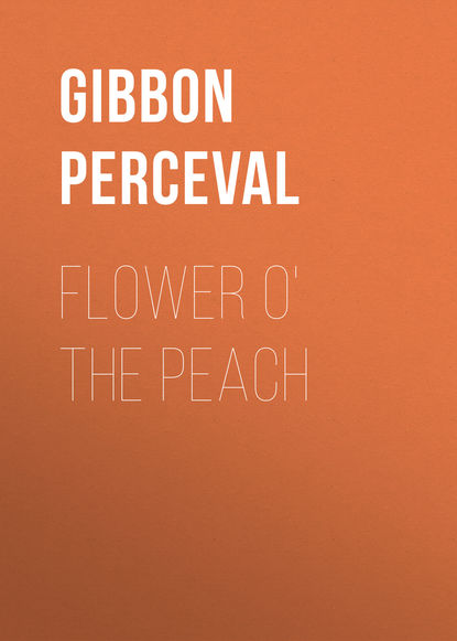 Книга Gibbon Perceval, Perceval Gibbon Flower o' the Peach