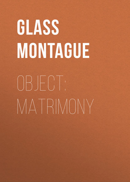 Книга Montague Glass, Glass Montague Object: matrimony
