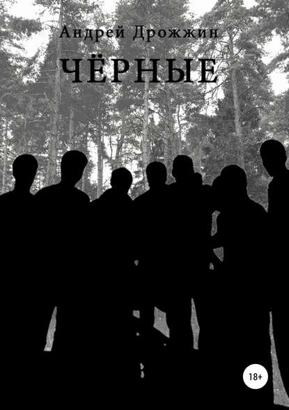 Книга Андрей Дрожжин Чёрные