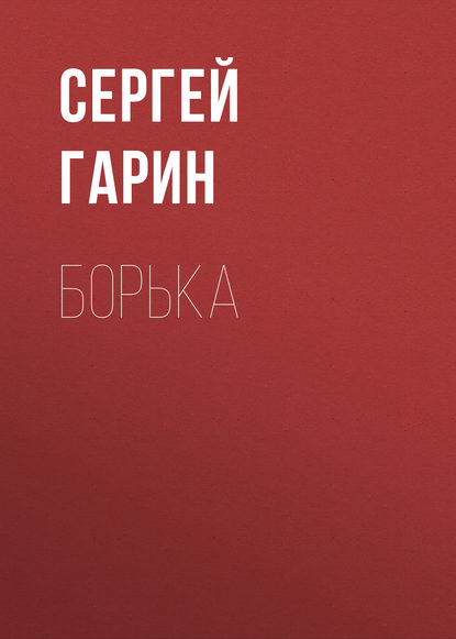 Книга Сергей Александрович Гарин, Сергей Гарин Борька