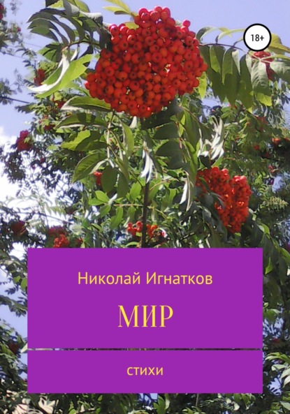 Книга Николай Викторович Игнатков, Николай Игнатков Мир