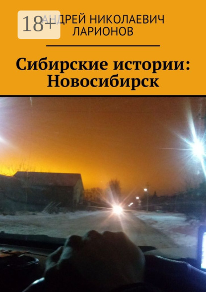 Книга Андрей Николаевич Ларионов Сибирские истории: Новосибирск