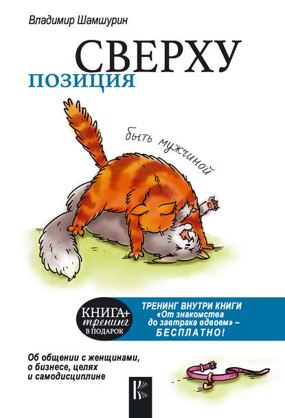 Книга Владимир Шамшурин Позиция сверху: быть мужчиной