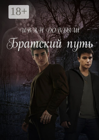 Книга Иван Довбыш Братский путь