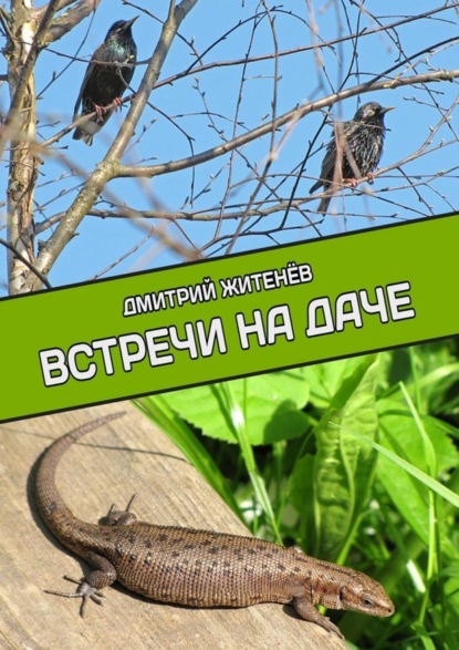 Книга Дмитрий Житенев Встречи на даче