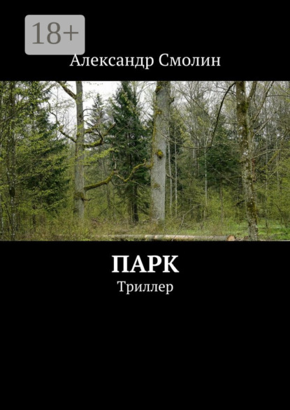 Книга Александр Смолин Парк. Триллер