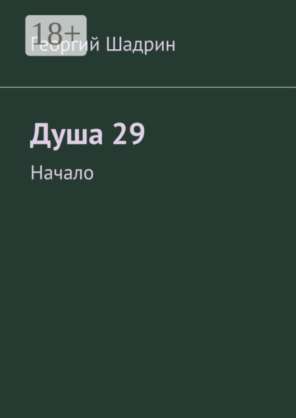 Книга Георгий Вячеславович Шадрин Душа 29. Начало