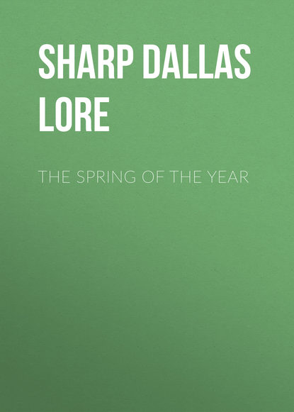 Книга Dallas Sharp, Sharp Dallas Lore The Spring of the Year