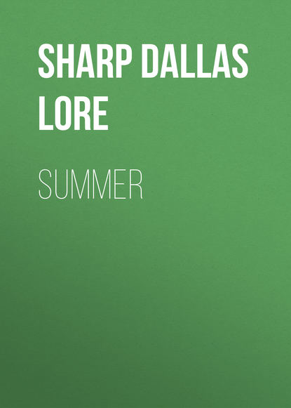 Книга Dallas Sharp, Sharp Dallas Lore Summer