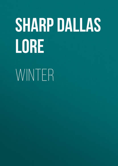 Книга Dallas Sharp, Sharp Dallas Lore Winter