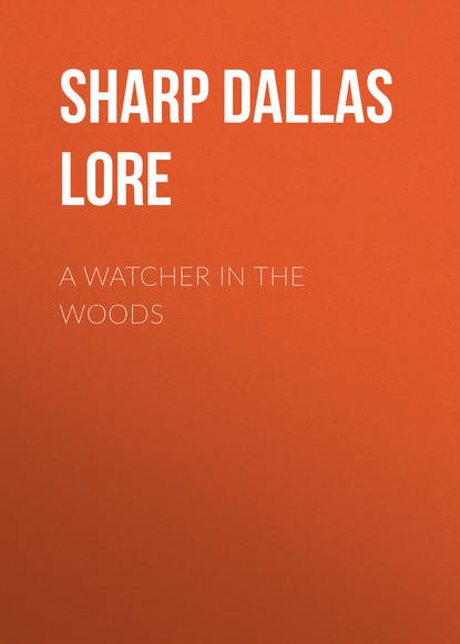 Книга Dallas Sharp, Sharp Dallas Lore A Watcher in The Woods