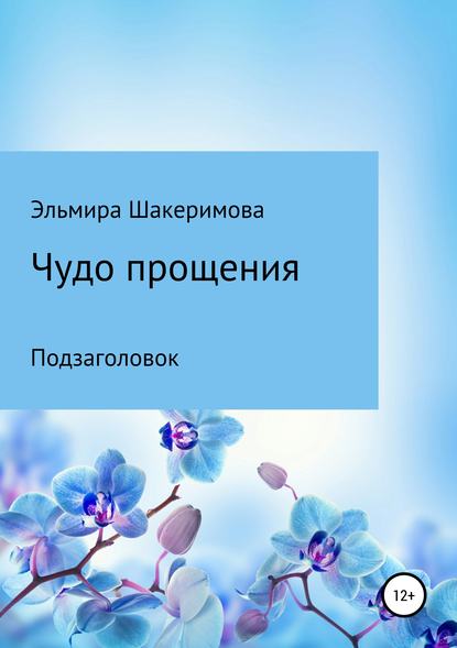 Книга Эльмира Маратовна Шакеримова Чудо прощения