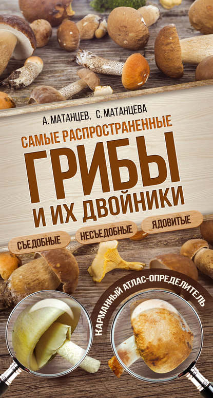 Книга Александр Николаевич Матанцев, Александр Матанцев, Светлана Григорьевна Матанцева Самые распространенные грибы и их двойники съедобные, несъедобные, ядовитые