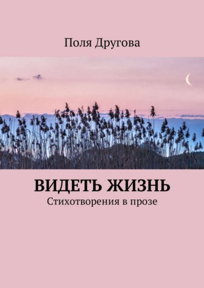 Книга Поля Другова Видеть жизнь. Стихотворения в прозе
