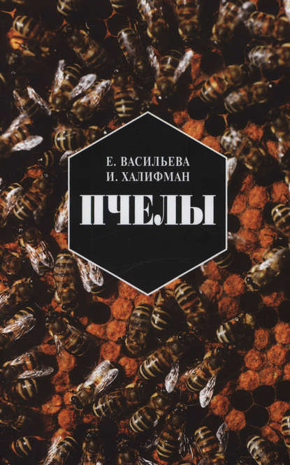 Книга Е. Н. Васильева, Евгения Николаевна Васильева, Иосиф Аронович Халифман Пчелы. Повесть о биологии пчелиной семьи и победах науки о пчелах