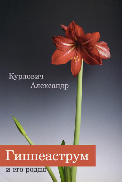 Книга Александр Курлович Гиппеаструм и его родня
