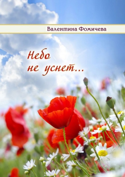 Книга Валентина Фомичёва Небо не уснет…