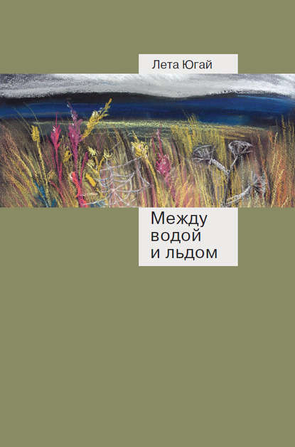 Книга Лета Югай Между водой и льдом