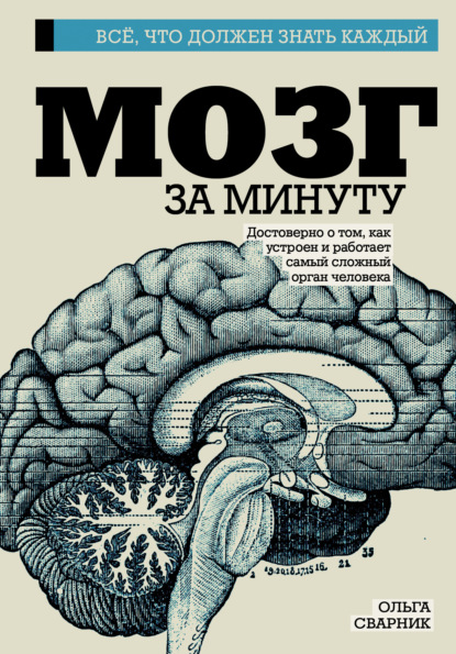 Книга Ольга Сварник, Ольга Евгеньевна Сварник Мозг за минуту