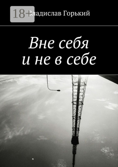 Книга Владислав Горький Вне себя и не в себе