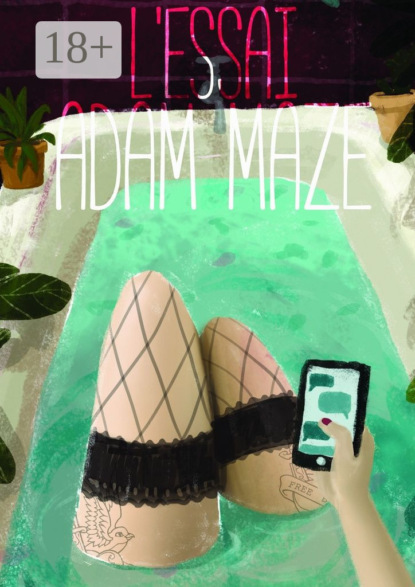 Книга Adam Maze l'essai