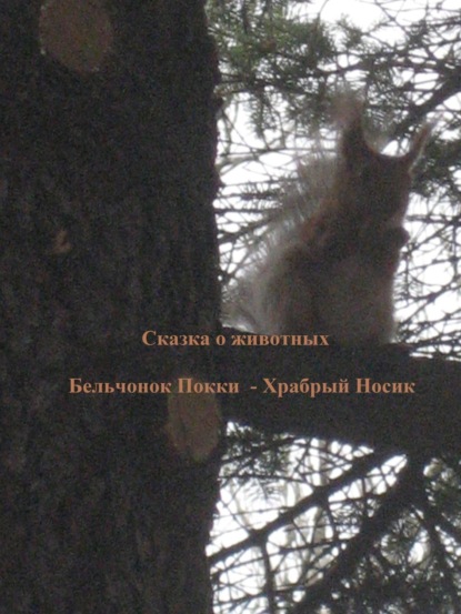 Книга Нина Анатольевна Лукина Бельчонок Покки. Храбрый носик