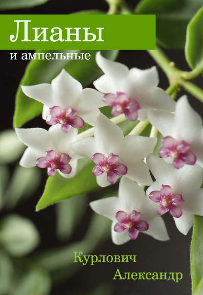 Книга Александр Курлович Лианы и ампельные