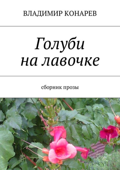 Книга Владимир Конарев Голуби на лавочке. Сборник прозы