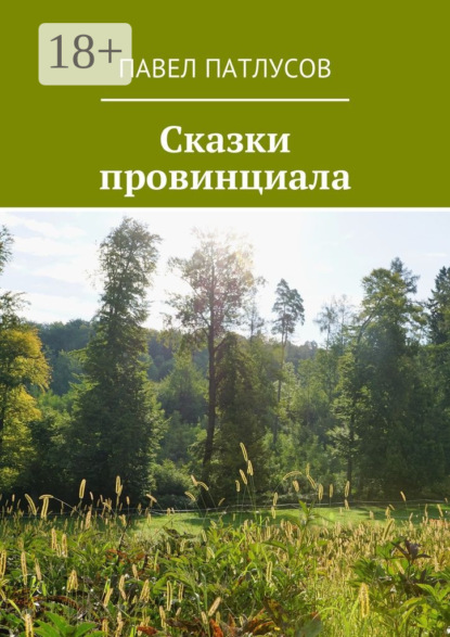 Книга Павел Патлусов Сказки провинциала