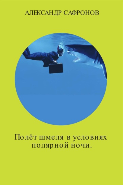 Книга Александр Игоревич Сафронов Полёт шмеля в условиях полярной ночи. Сборник рассказов