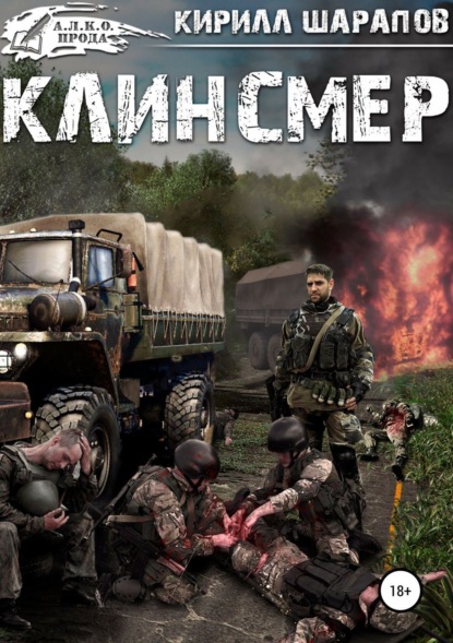 Книга Кирилл Шарапов, Алексей Андриенко Клинсмер