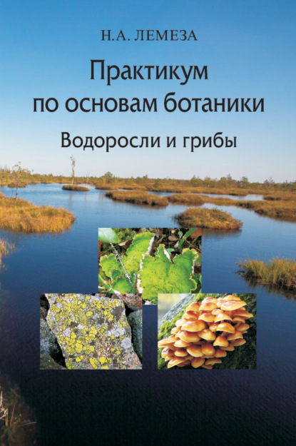 Книга Н. А. Лемеза, Николай Алексеевич Лемеза Практикум по основам ботаники. Водоросли и грибы