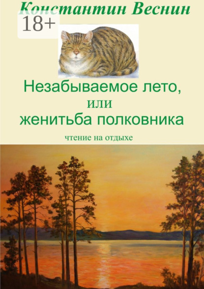 Книга Константин Веснин Незабываемое лето, или Женитьба полковника