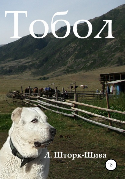 Книга Есфирь Шива, Людмила Шторк – Шива Тобол