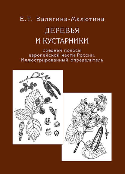 Книга Евгения Валягина-Малютина, Евгения Тимофеевна Валягина-Малютина Деревья и кустарники средней полосы европейской части России. Иллюстрированный определитель
