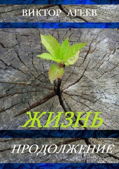 Книга Виктор Агеев Жизнь. Продолжение
