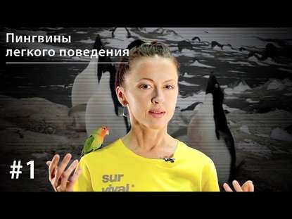 Книга Евгения Тимонова Пингвины легкого поведения