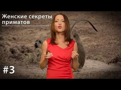 Книга Евгения Тимонова Женские секреты приматов
