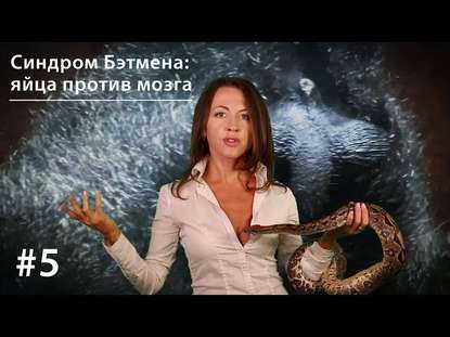 Книга Евгения Тимонова Синдром Бэтмена: яйца против мозга
