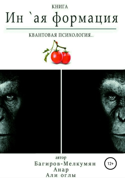 Книга Анар Али оглы Багиров-Мелкумян `Ин-ая формация. Квантовая психология