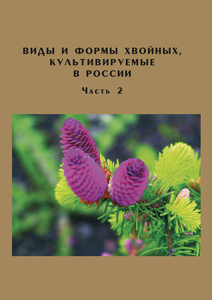 Книга Д. Л. Матюхин, Дмитрий Леонидович Матюхин, Ольга Сергеевна Манина, Екатерина Сергеевна Сысоева Виды и формы хвойных, культивируемые в России. Часть 2. Picea A. Dietr., Thuja L.