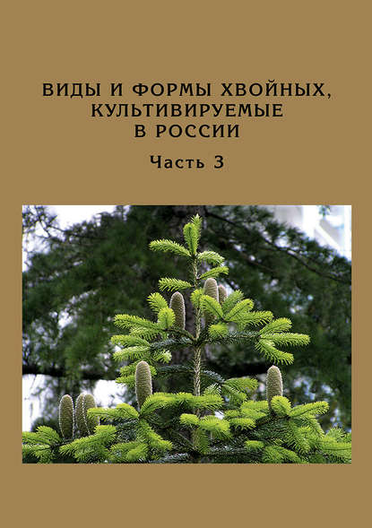 Книга Д. Л. Матюхин, Дмитрий Леонидович Матюхин, Ольга Сергеевна Манина Виды и формы хвойных, культивируемые в России. Часть 3. Abies Mill., Chamaecyparis Spach