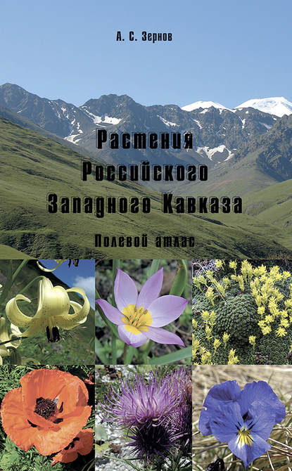 Книга А. С. Зернов, Александр Сергеевич Зернов Растения Российского Западного Кавказа. Полевой атлас